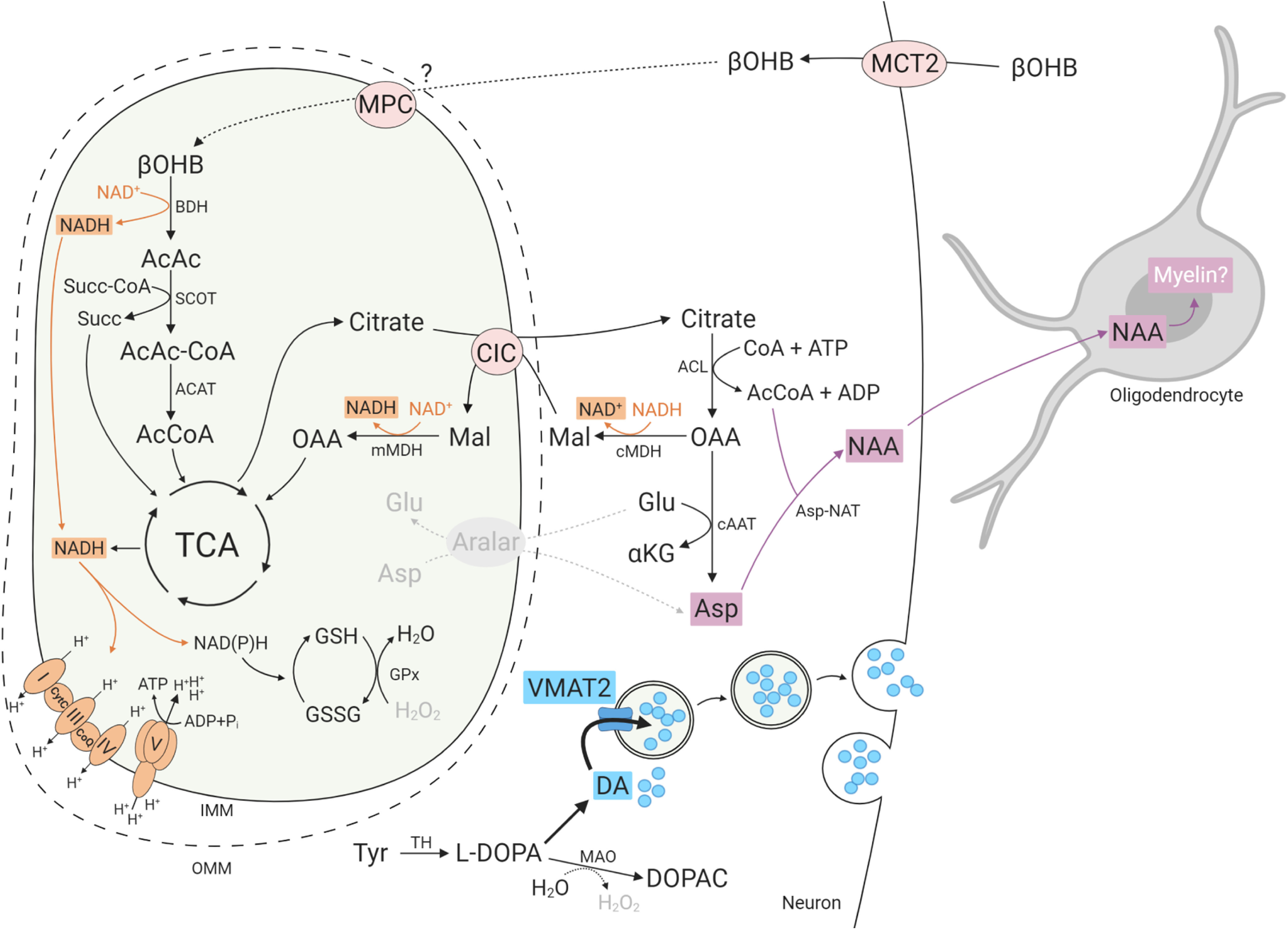 Figure 7.