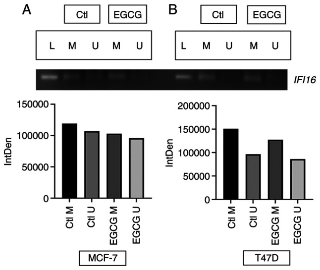 Figure 7.