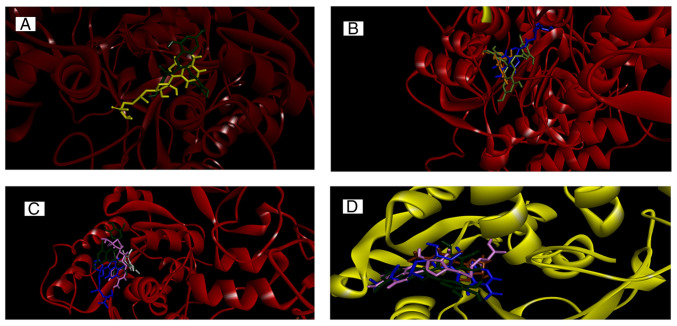 Figure 5.