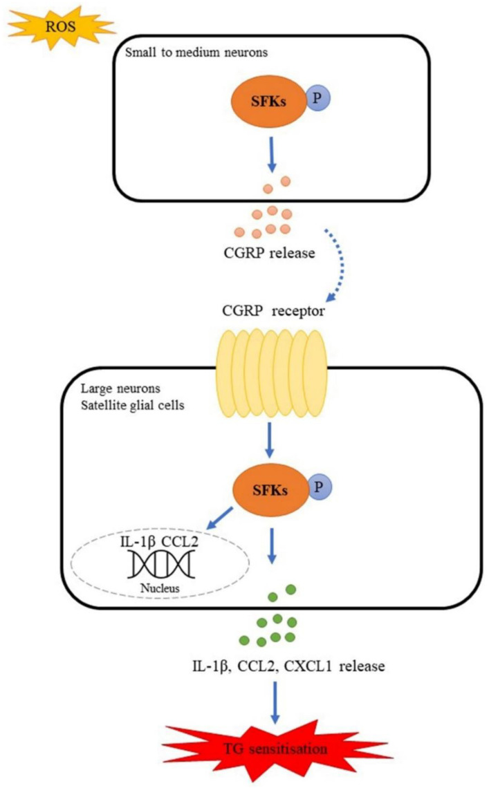 Figure 9