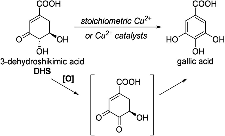 Scheme 22