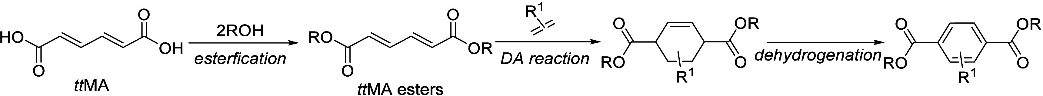 Scheme 8