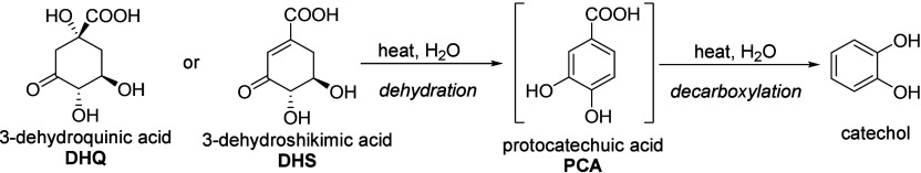 Scheme 21