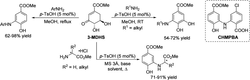 Scheme 25