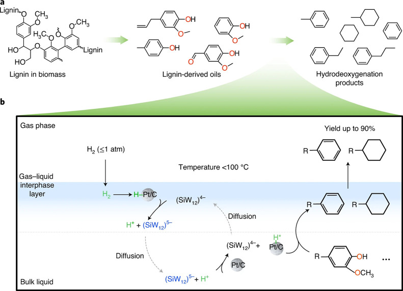 Figure 24