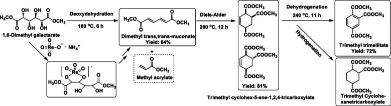 Scheme 11