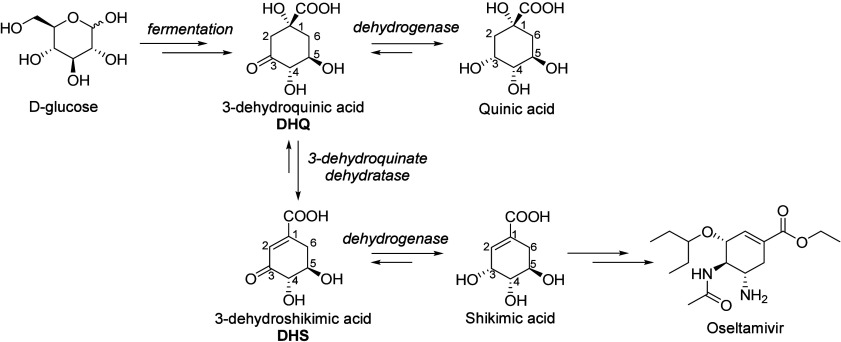 Scheme 17