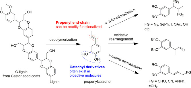 Scheme 151