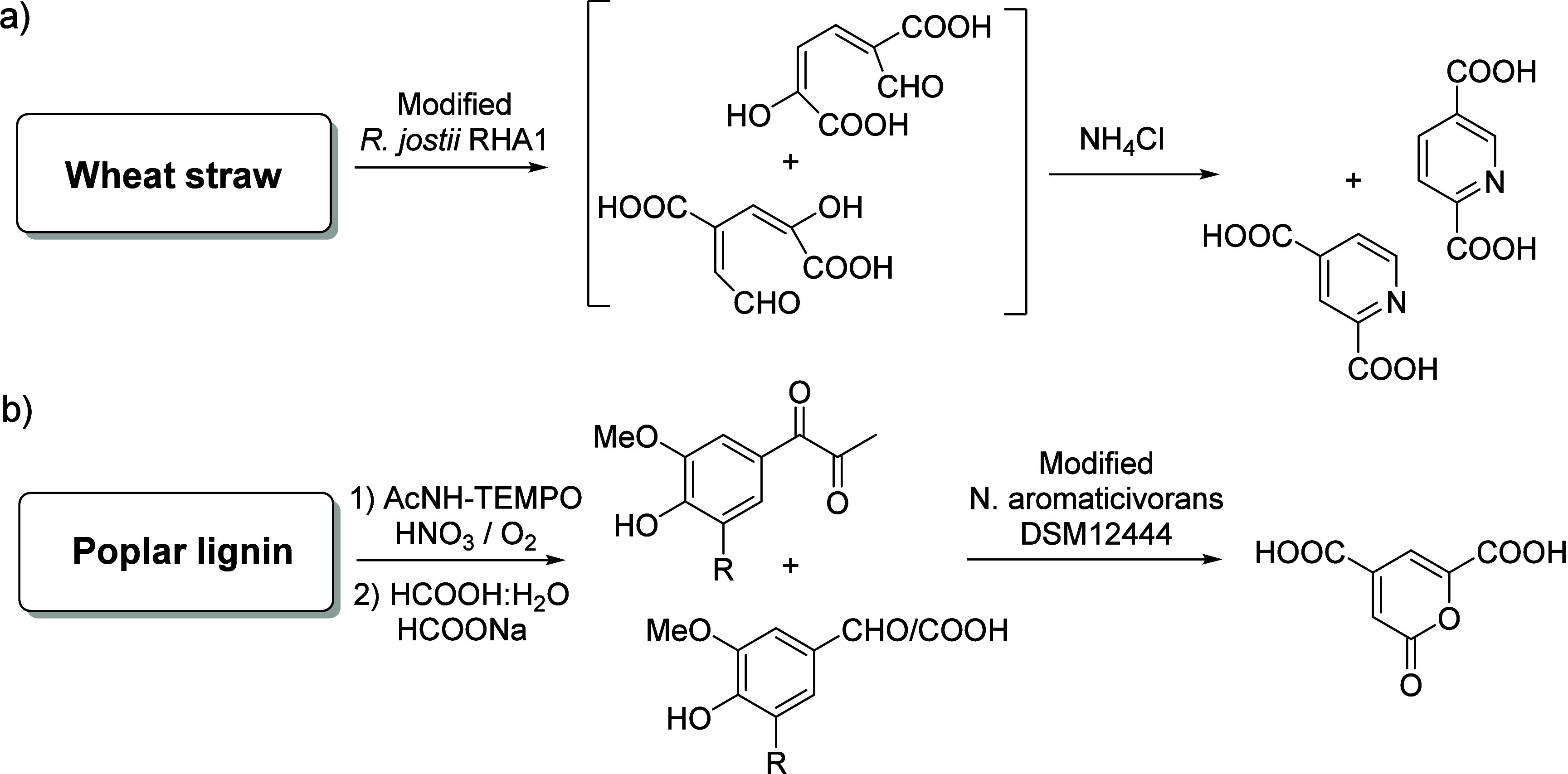 Scheme 159