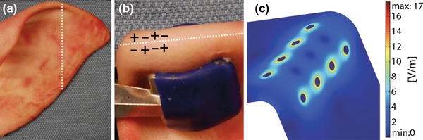 Figure 3