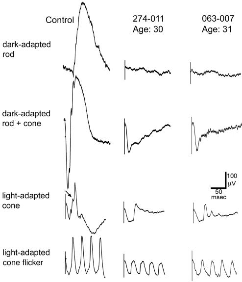 Fig. 3.