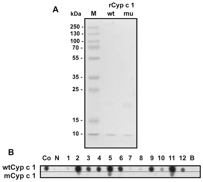 Fig E4