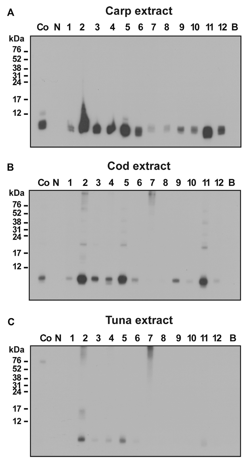 Fig E3