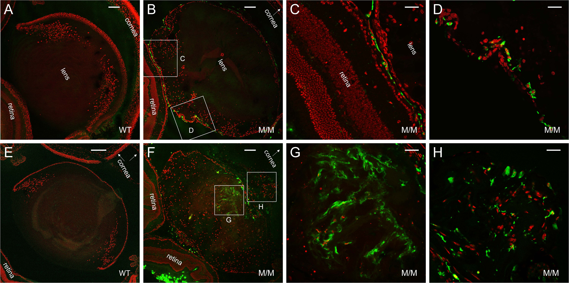 Figure 13.