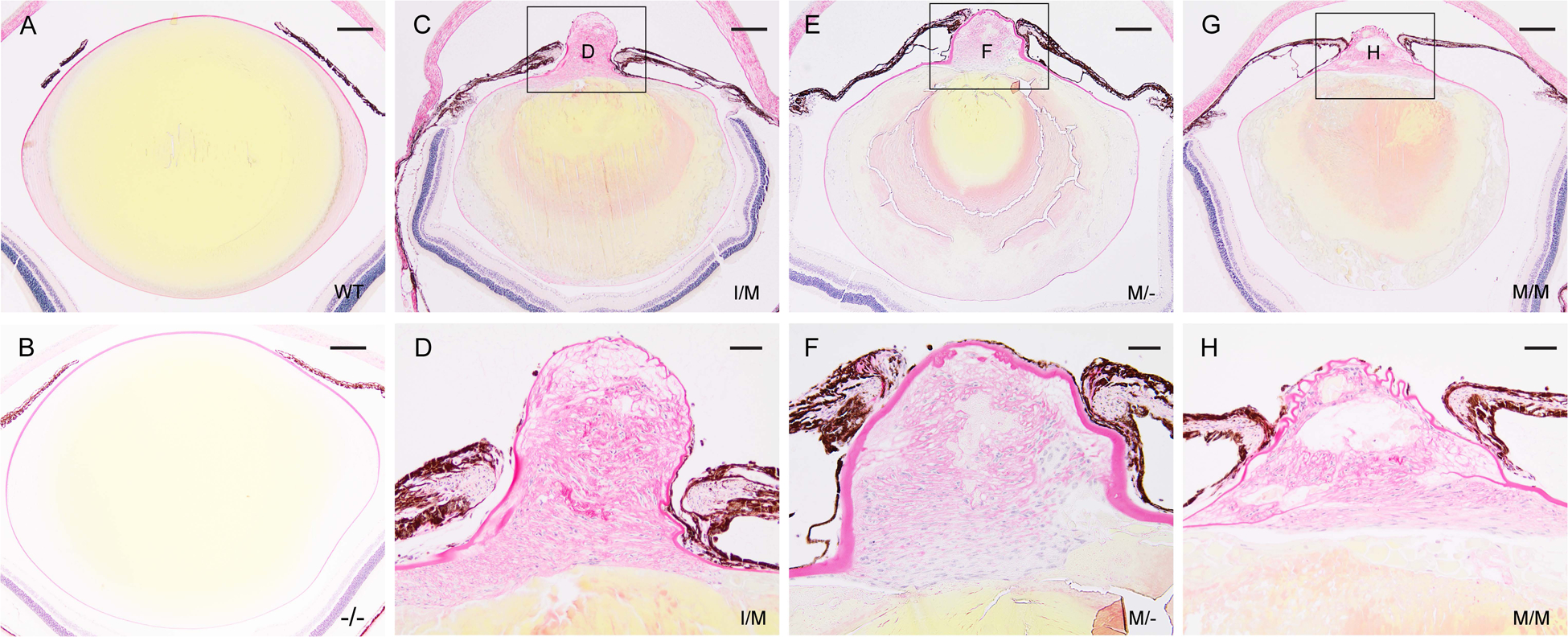 Figure 10.