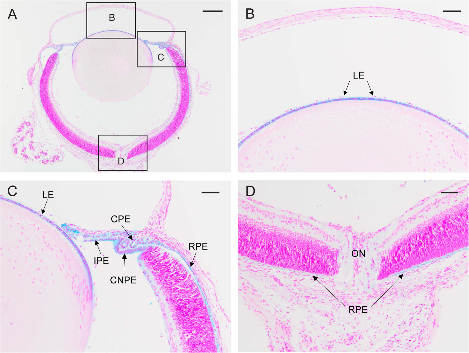 Figure 2.