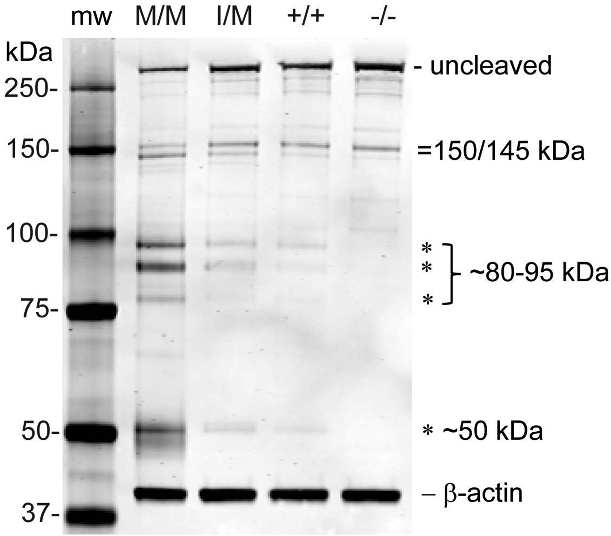 Figure 9.