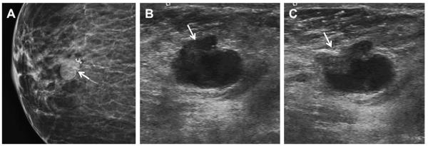 Fig. 63