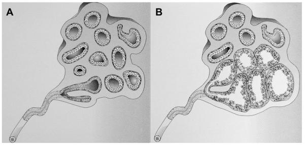 Fig. 43