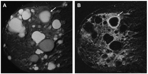 Fig. 58