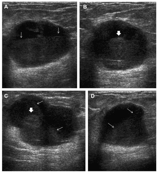 Fig. 28