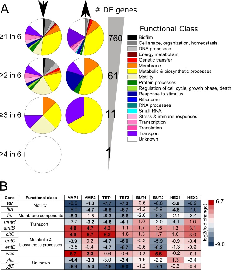 FIG 2 