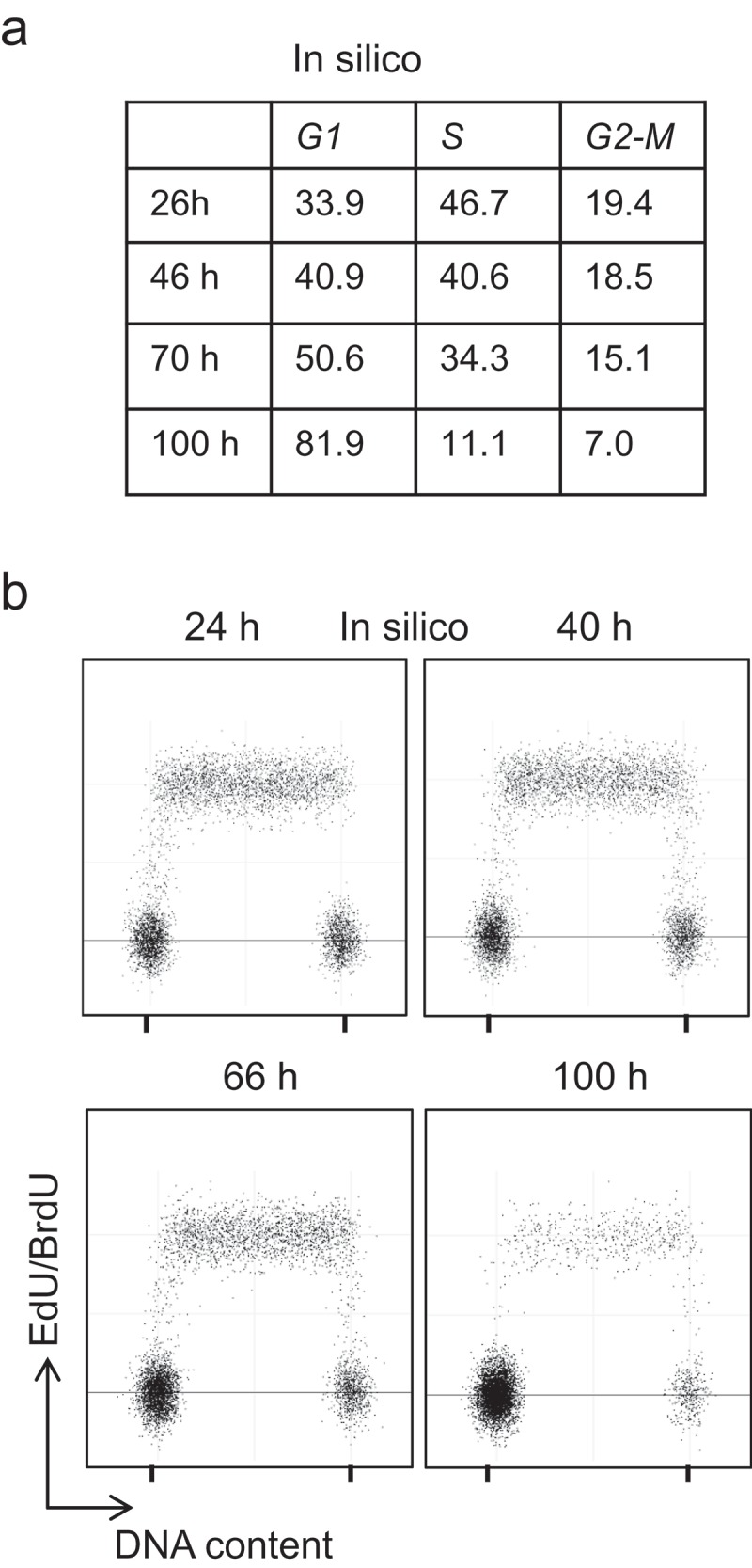 Figure 5.