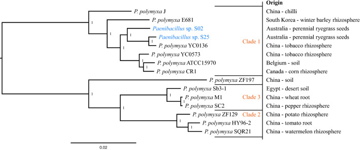 Figure 2