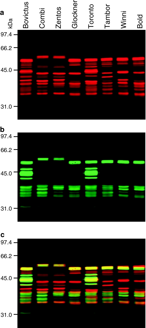 Fig. 2