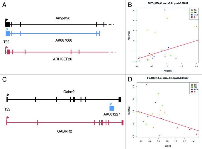 graphic file with name rna-10-1197-g3.jpg