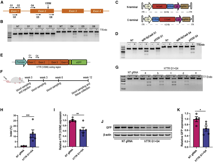 Figure 2