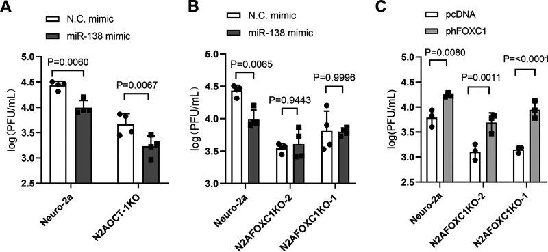 FIG 6