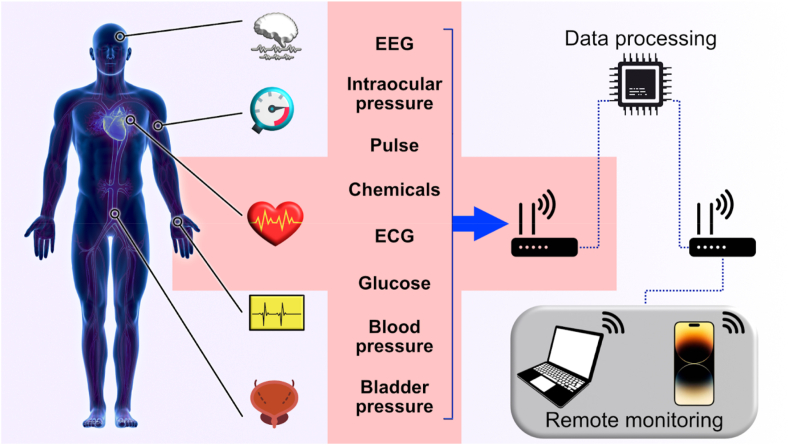 Fig. 2