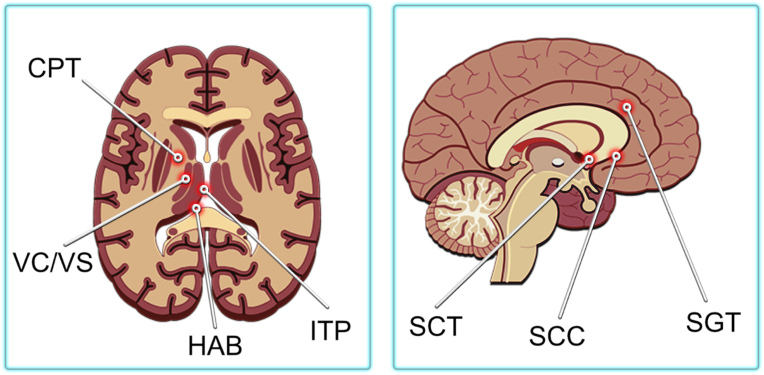 Fig. 7