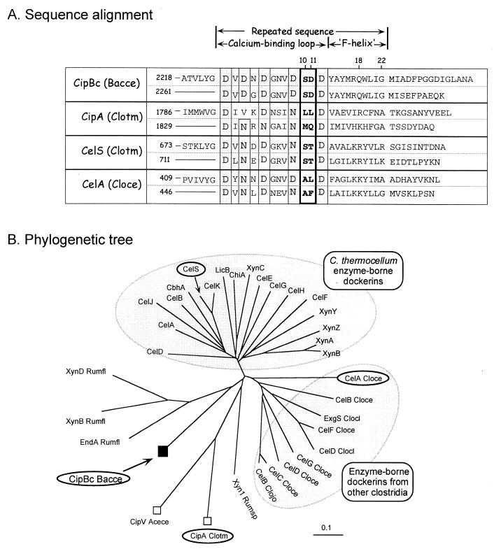 FIG. 6