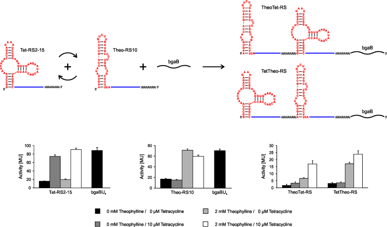 Figure 5.