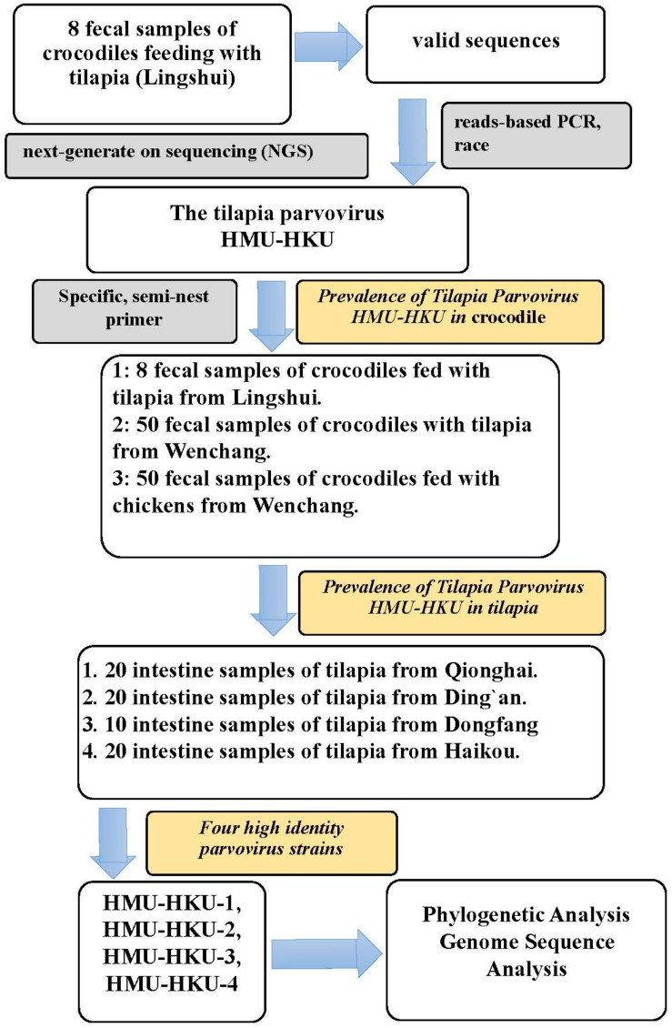 FIGURE 1