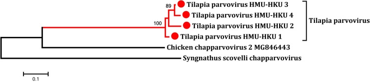 FIGURE 4