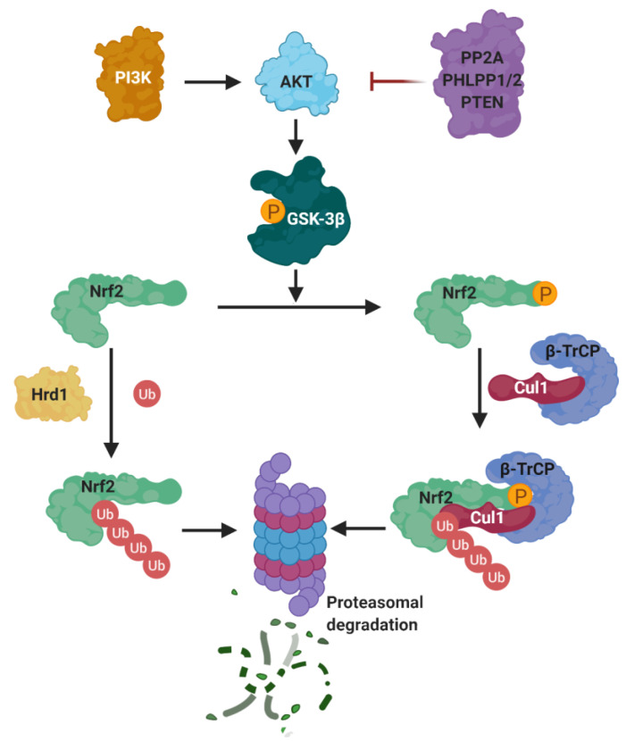 Figure 14