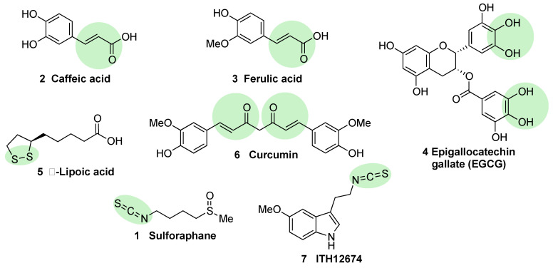 Figure 7