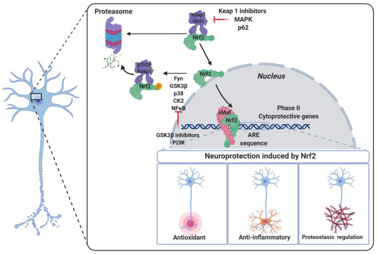 Figure 16