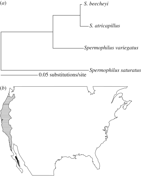 Figure 2.