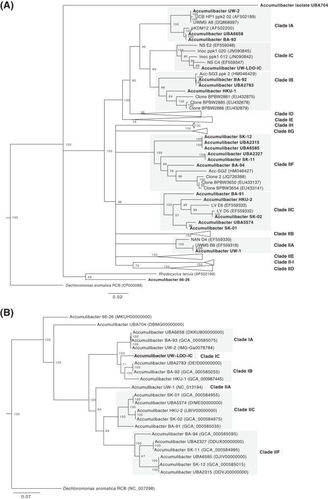 FIG 2