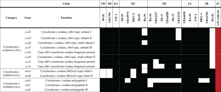 graphic file with name mSystems.00193-18-t0002.jpg