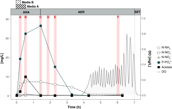 FIG 1