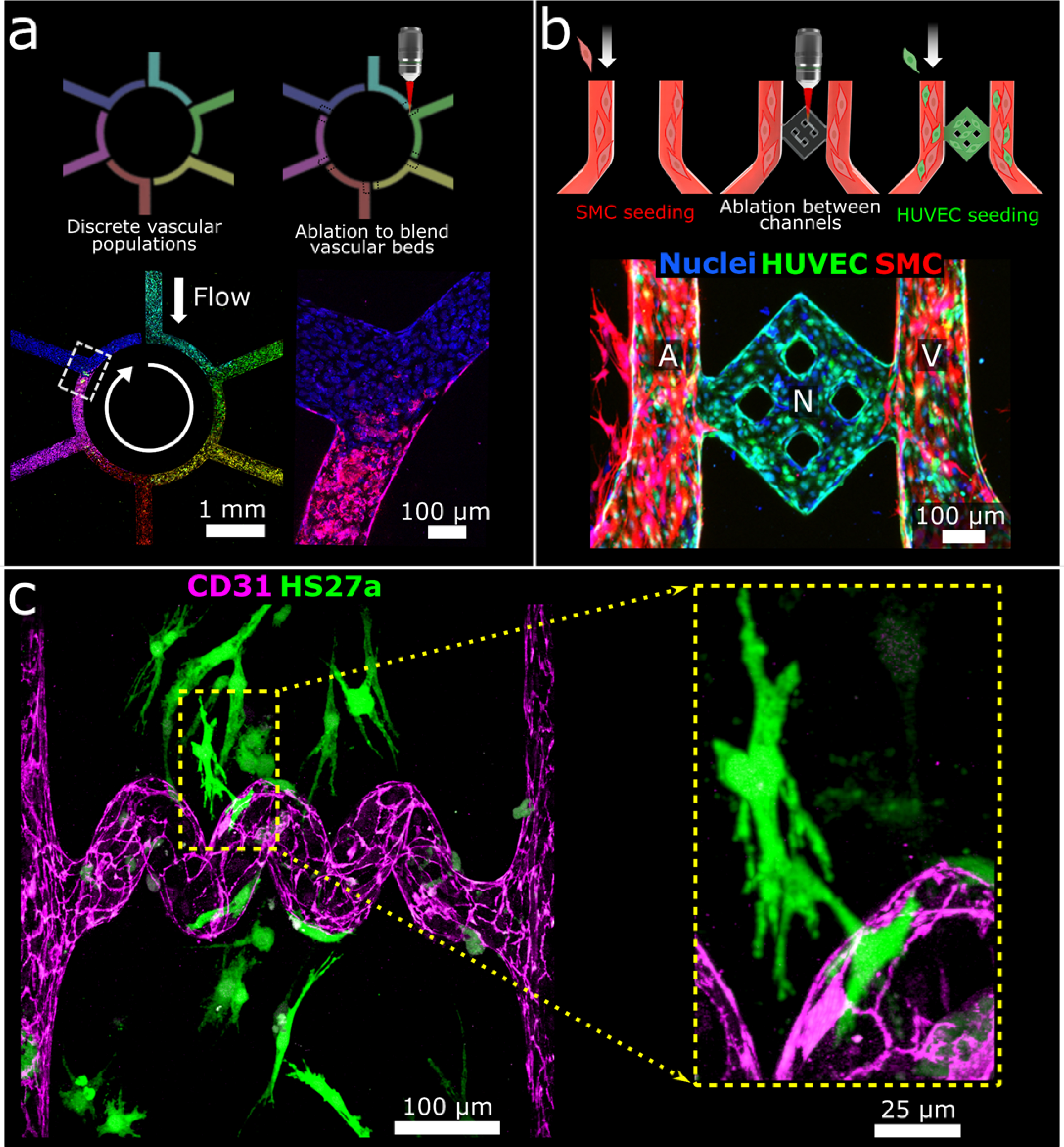 Figure 3: