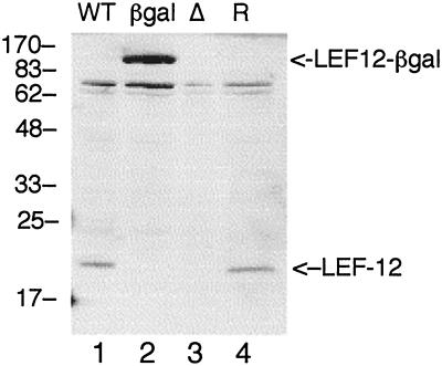 FIG. 8.