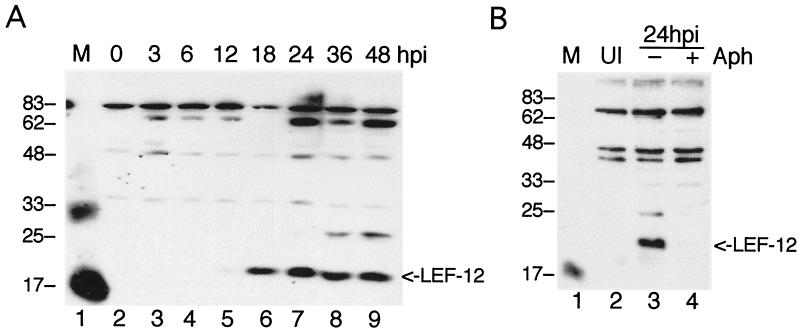 FIG. 7.