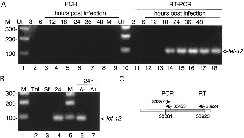 FIG. 10.