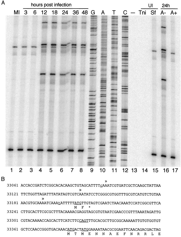 FIG. 9.